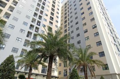 Căn Hộ Tecco Felice Tower ( Tân Uyên )